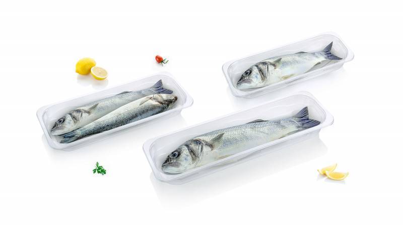 Gamme barquettes operculable pour poissons entiers